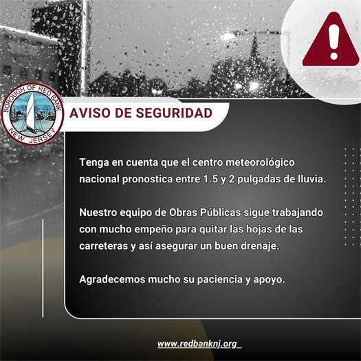 Safety Alert - Spanish